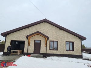 Фасадная панель Ригель Немецкий, цвет 06